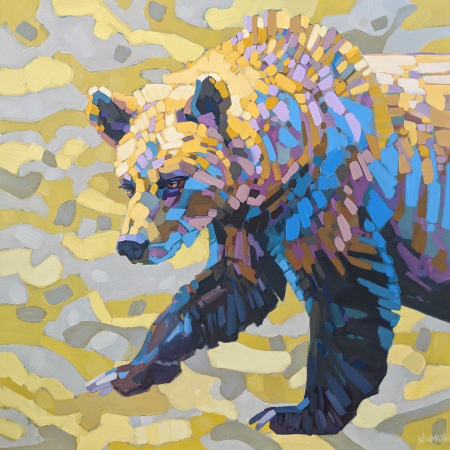 A friendly looking grizzly strolls by, but it is no ordinary animal. It is made of chunks of different colours, warm on the top from the heat of the sun, and cooler by her belly. She is prancing through waves of heat and loving it.